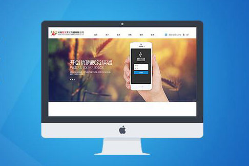 企業(yè)網(wǎng)站建設(shè)的重要性！